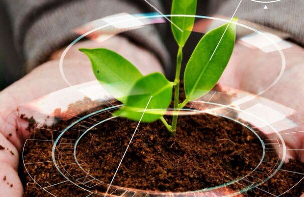 Our-sustainbility-initiative